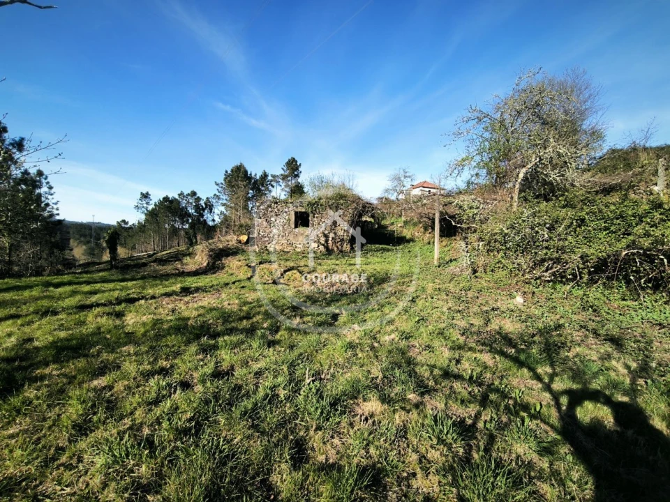Terreno para Venda em Coura Foto 5