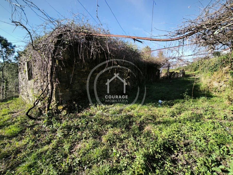 Terreno para Venda em Coura Foto 11