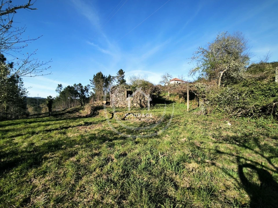 Terreno para Venda em Coura Foto 10