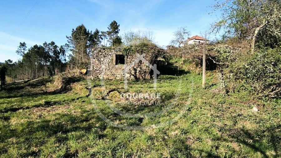 Terreno para Venda em Coura