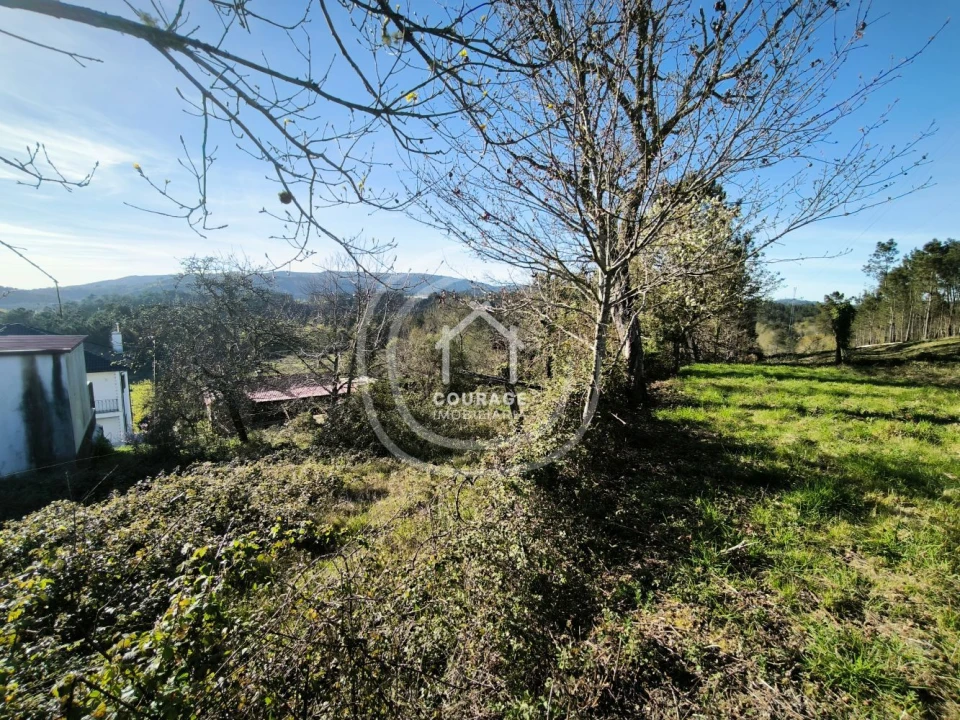 Terreno para Venda em Coura Foto 9