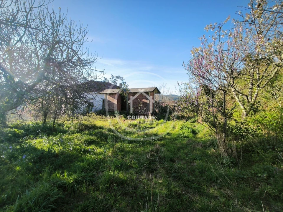 Moradia T2 para Venda em Coura Foto 20