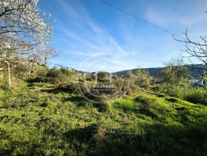 Moradia T2 para Venda em Coura Foto 22