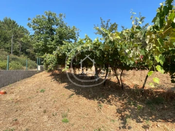 Terreno para Venda em Cossourado e Linhares