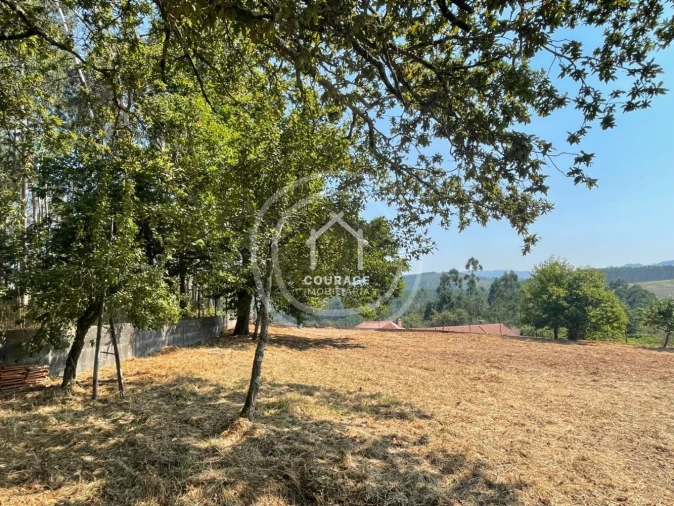 Terreno para Venda em Cossourado e Linhares Foto 25