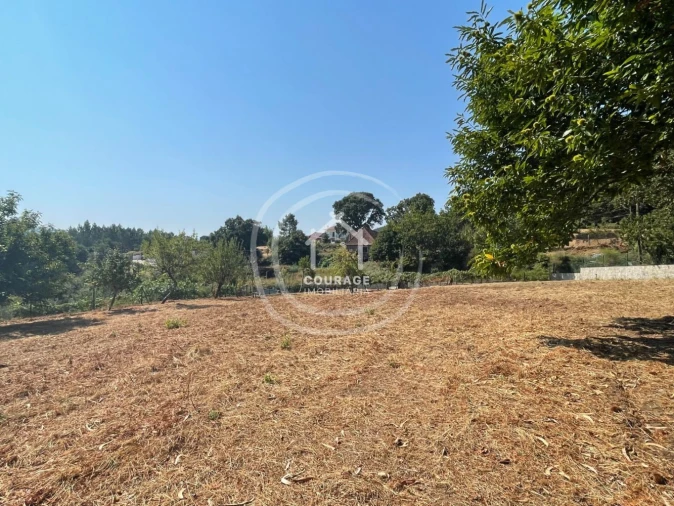 Terreno para Venda em Cossourado e Linhares Foto 9