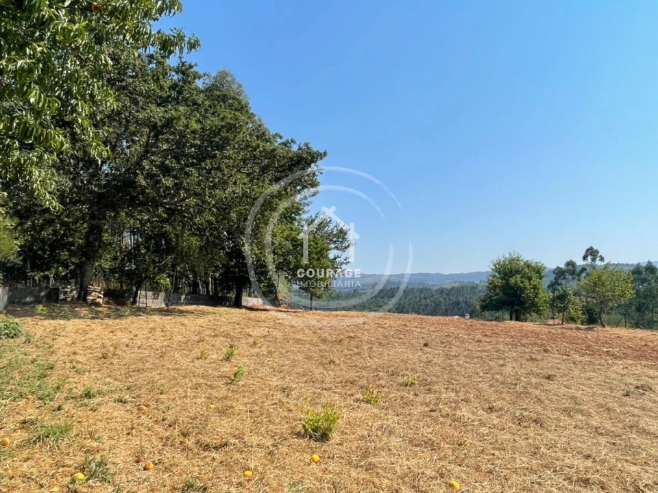 Terreno para Venda em Cossourado e Linhares Foto 6