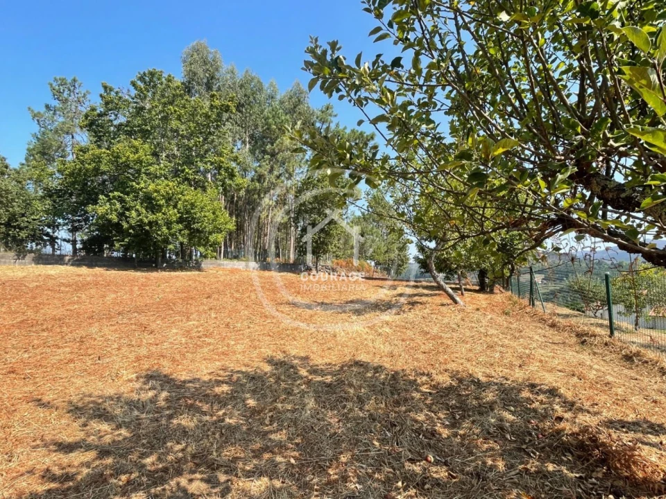 Terreno para Venda em Cossourado e Linhares Foto 2