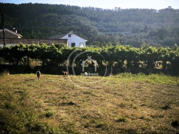Moradia T3 para Venda em Coura