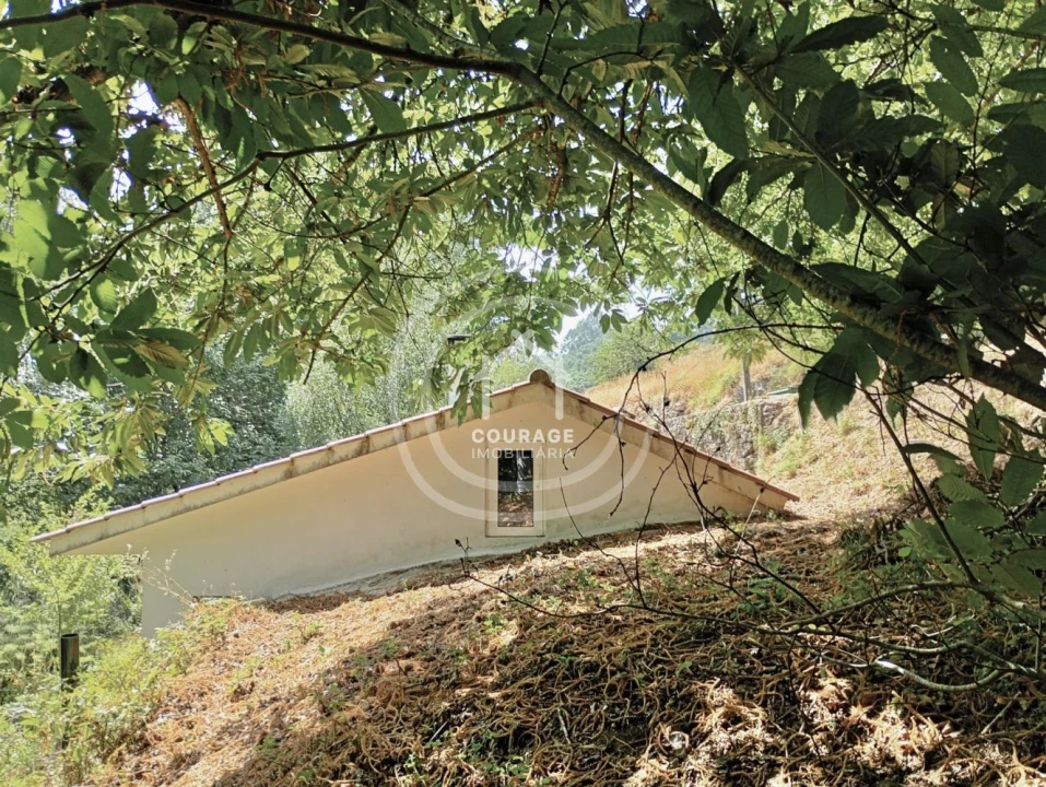 Moradia T1 para Venda em Mozelos Foto 18