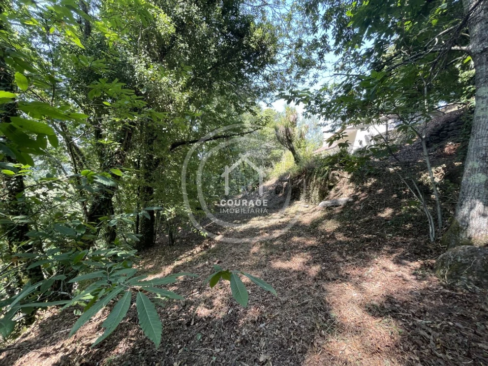 Moradia T1 para Venda em Mozelos Foto 34