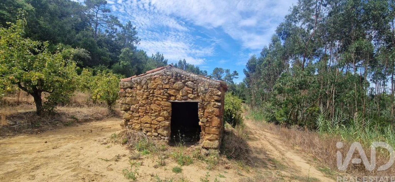 Terreno para Venda em Azueira e Sobral da Abelheira Foto 1