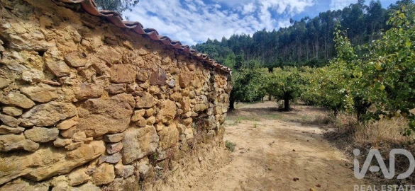 Terreno para Venda em Azueira e Sobral da Abelheira