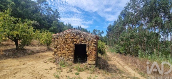 Terreno para Venda em Azueira e Sobral da Abelheira
