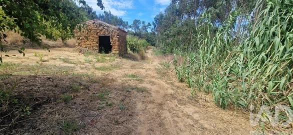 Terreno para Venda em Azueira e Sobral da Abelheira