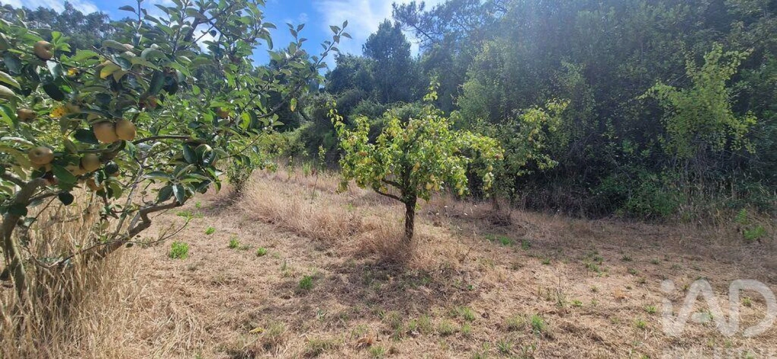 Terreno para Venda em Azueira e Sobral da Abelheira Foto 7