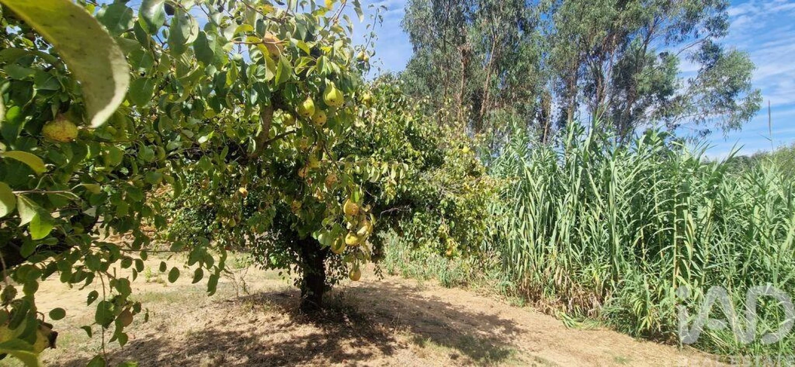 Terreno para Venda em Azueira e Sobral da Abelheira Foto 15