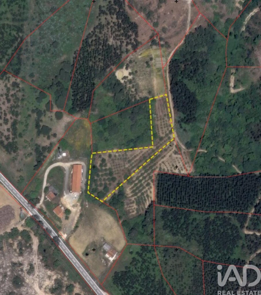 Terreno para Venda em Azueira e Sobral da Abelheira Foto 19