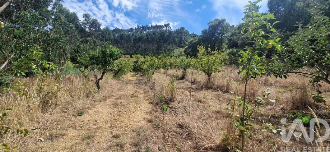 Terreno para Venda em Azueira e Sobral da Abelheira Foto 8