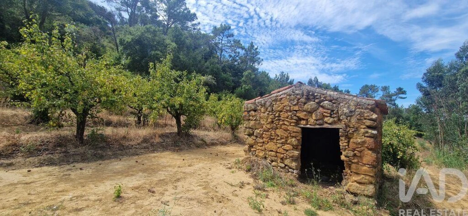 Terreno para Venda em Azueira e Sobral da Abelheira Foto 3