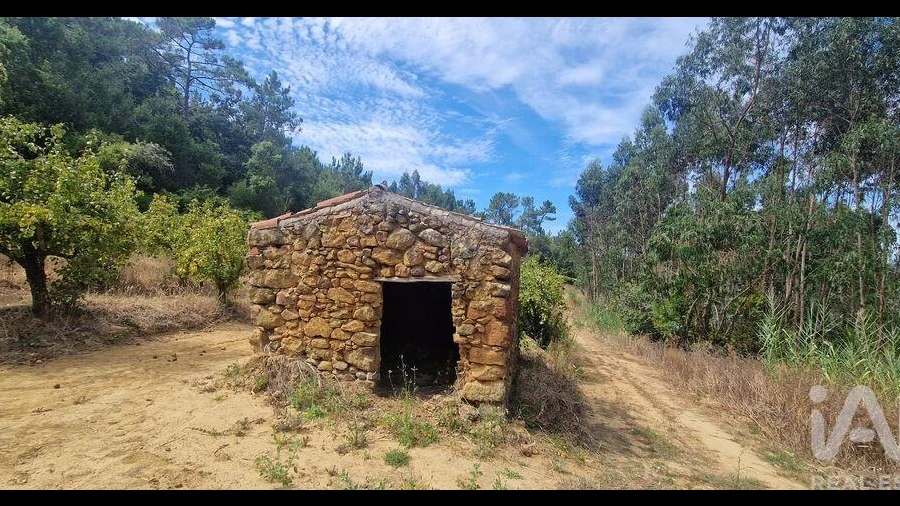 Terreno para Venda em Azueira e Sobral da Abelheira