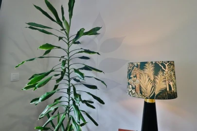 Apartamento T1 para Venda em Braga (São José de São Lázaro e São João do Souto)