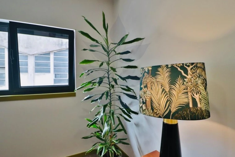 Apartamento T1 para Venda em Braga (São José de São Lázaro e São João do Souto) Foto 27
