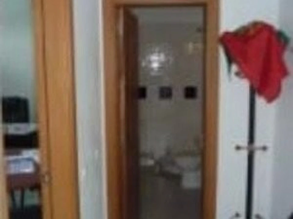 Armazém para Arrendamento em São Brás de Alportel Foto 4