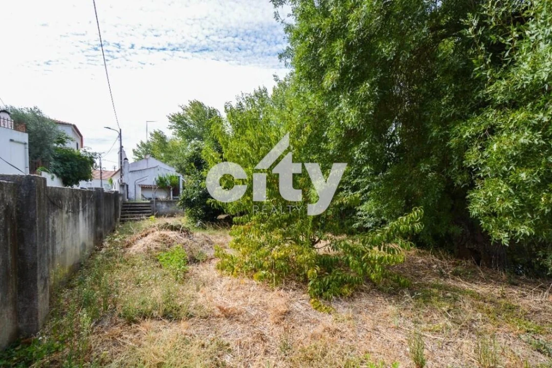 Moradia T3 para Venda em Alcórrego e Maranhão Foto 23