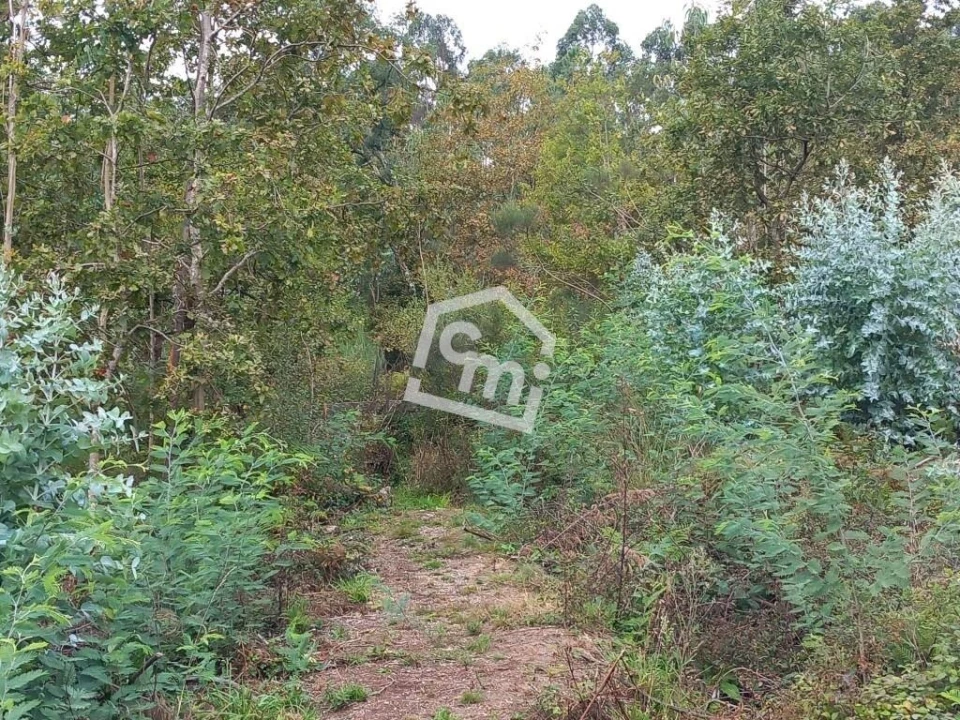 Terreno para Venda em Vandoma Foto 11