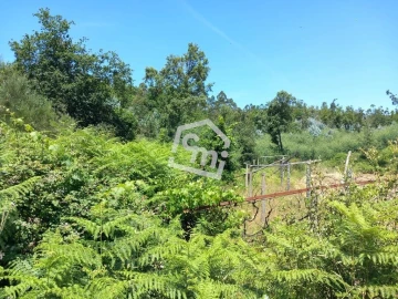 Terreno para Venda em Vandoma