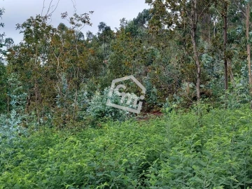 Terreno para Venda em Vandoma