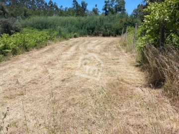 Terreno para Venda em Vandoma