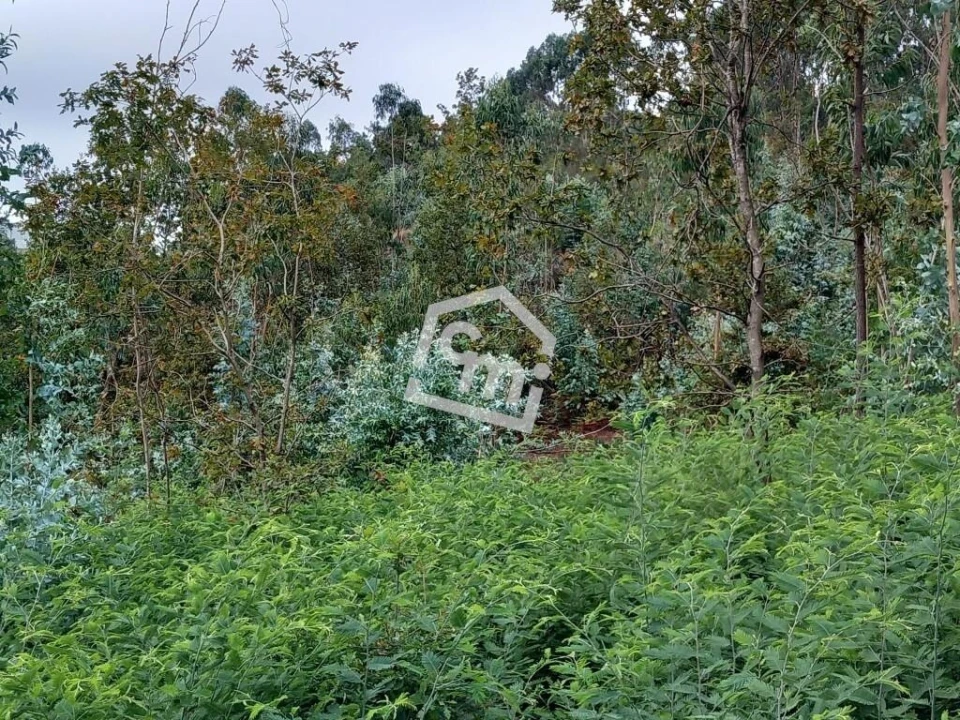 Terreno para Venda em Vandoma Foto 12