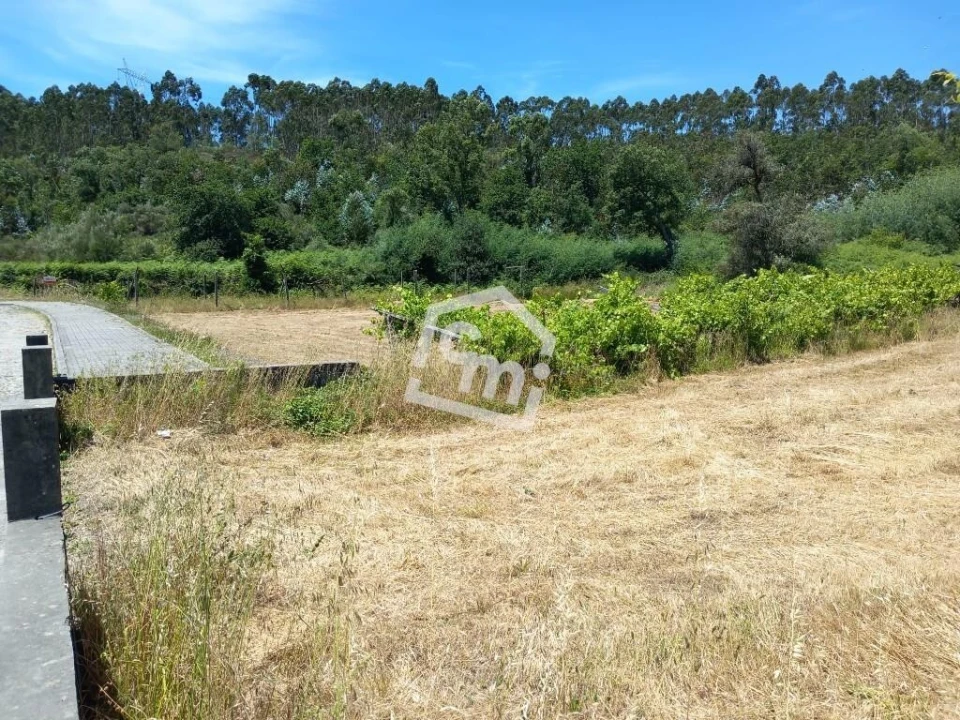 Terreno para Venda em Vandoma Foto 1