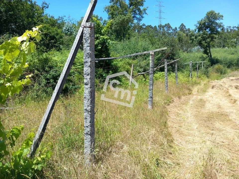 Terreno para Venda em Vandoma Foto 10