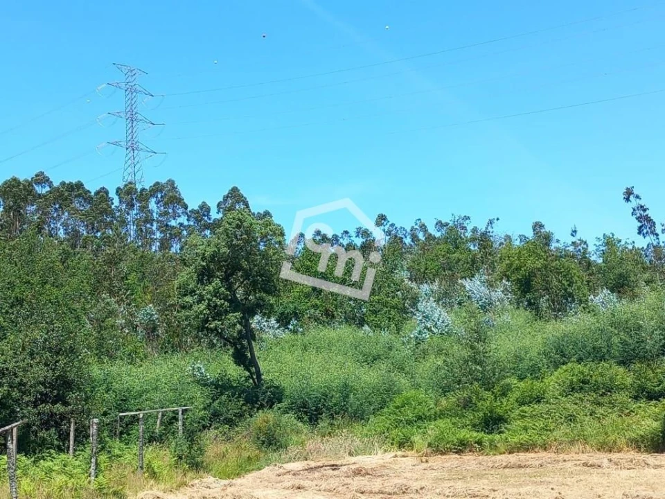 Terreno para Venda em Vandoma Foto 9