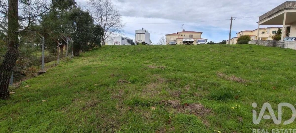 Terreno para Venda em Figueiró dos Vinhos e Bairradas