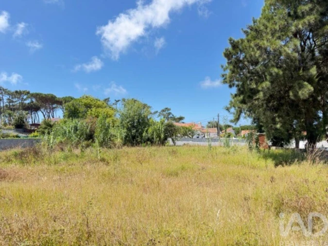 Terreno para Venda em Santa Maria e São Miguel, São Martinho, São Pedro Penaferrim Foto 4