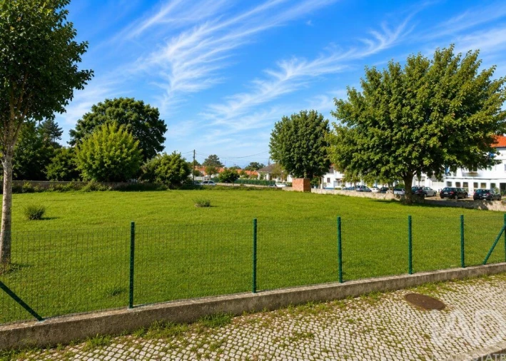 Terreno para Venda em Santa Maria e São Miguel, São Martinho, São Pedro Penaferrim Foto 6