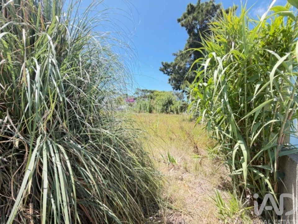 Terreno para Venda em Santa Maria e São Miguel, São Martinho, São Pedro Penaferrim Foto 10