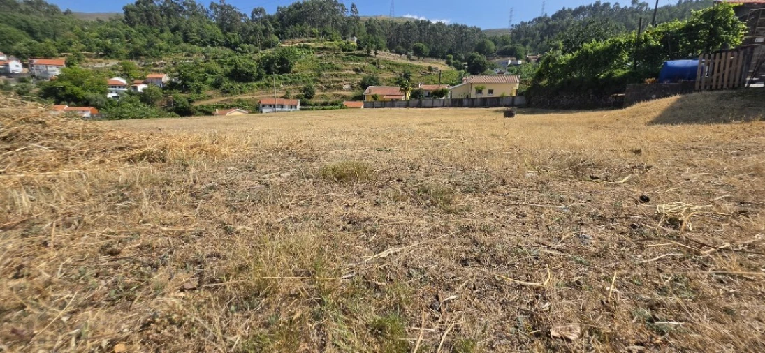 Terreno para Venda em Salamonde Foto 6
