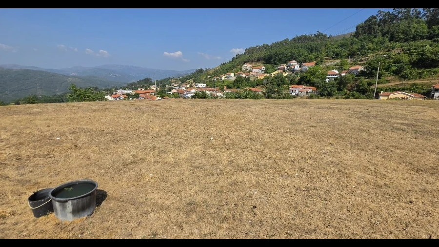 Terreno para Venda em Salamonde