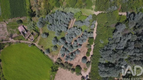 Moradia para Venda em Serpins