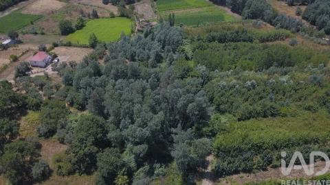 Moradia para Venda em Serpins