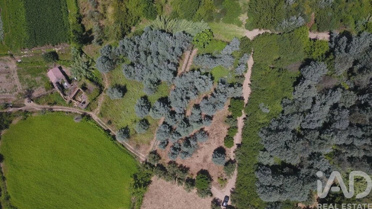 Moradia para Venda em Serpins Foto 4