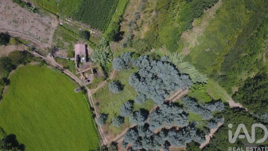 Moradia para Venda em Serpins Foto 5