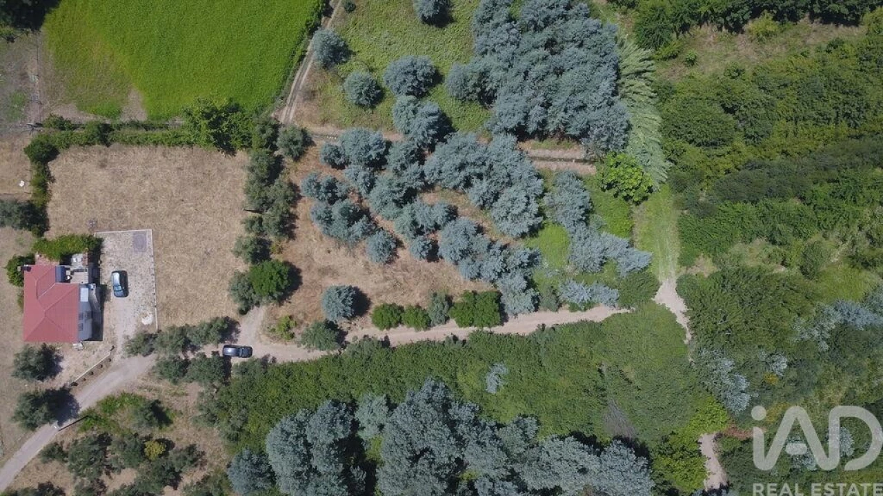 Moradia para Venda em Serpins Foto 3