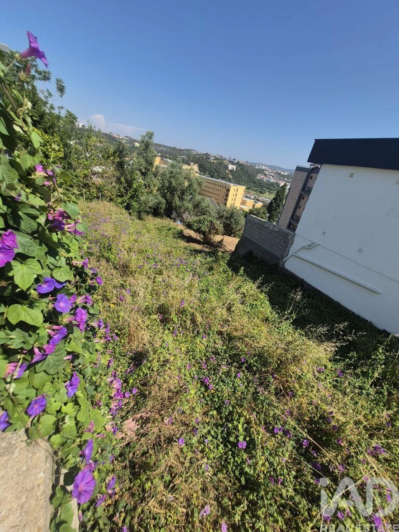 Moradia T2 para Venda em Leiria, Pousos, Barreira e Cortes Foto 14