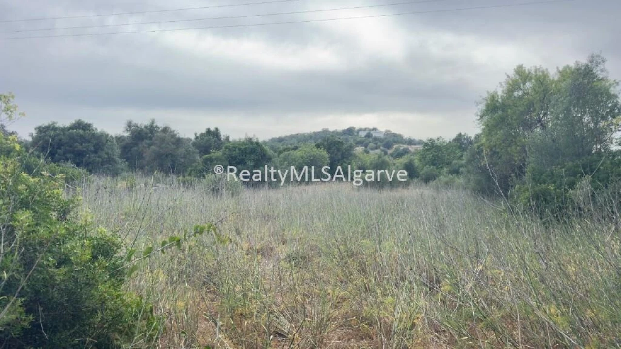 Terreno para Venda em Loule (São Sebastião) Foto 2